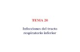 TEMA 20 Infecciones del tracto respiratorio inferiorasignatura.us.es/mbclinica/docs/recursos/12/tema-20.pdf · Inflamación del tracto respiratorio inferior que compromete vías aéreas