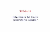 TEMA 19 Infecciones del tracto respiratorio superiorasignatura.us.es/mbclinica/docs/recursos/12/tema-19.pdf · 3. Microbiota normal del tracto respiratorio. Faringe. Staphylococcus