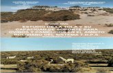 Estudio de la tola y su capacidad de soporte para ovinos y ...alt-perubolivia.org/Web_Bio/PROYECTO/Docum_bolivia/21.07 P1.pdf · Estudio de la tola y su capacidad de soporte para