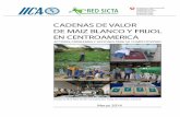 Proyecto Red de Innovación Agrícola Red SICTA - iica. · PDF fileSan José, Costa Rica ... Capacidades del almacenamiento de granos dotada por el programa Post Cosecha en C. A.....