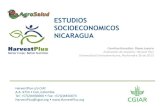 ESTUDIOS SOCIOECONOMICOS NICARAGUA - …lac.harvestplus.org/wp-content/uploads/2015/02/Impacto_Taller-Nica... · Indicador Belice Costa Rica El Salvador Guatemala Honduras Nicaragua