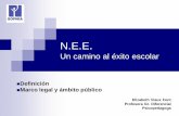 N.E.E. Un camino al éxito escolar - · PDF fileToda la documentación reunida es propiedad de la familia o del estudiante adulto con disponibilidad para la fiscalización del ...