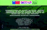 Gobierno Regional De Atacama - inia.cl · PDF file3.2. PRINCIPALES VARIEDADES DE OLIVO DESTINADAS ... un diseño formal de huertos, compartiendo la super!cie de plantación con otros