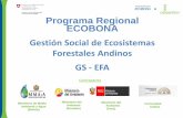 Gestión Social de Ecosistemas Forestales Andinos GS - EFA PARALELOS... · Parte del paisaje andino de montaña => Resulta igual de importante y legítimo realizar actividades ...