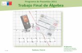 Trabajo Final de Álgebra -  · PDF fileÁlgebra en la Enseñanza Media de Chile ... Ecuación de la Recta que pasa por dos puntos. Tarea T : Encontrar la ecuación de una recta