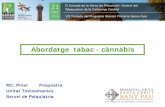 Abordatge tabac - cànnabisjornadatabaquismecatalunyacentral.papsf.cat/docs/Taula1_1.pdf · El us de T i CN-T se associa amb emfisema. En el grup CN només en ex-T ...