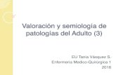 Valoración y semiología de patologías del Adulto (3) · PDF fileRx de tórax Tejido pulmonar es radiolúcido Tomar después de inspiración forzada. ... Decúbito: AP (antero-posterior)