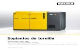 Soplantes de tornillo - Kaeser Compresores España · PDF filetolerancias de la ISO 1217. ... mantener el equilibrio entre una insonorización excelente, ... fácil acceso para los