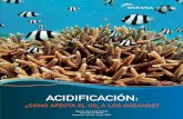 ACIDIFICACIÓN - Oceanaoceana.org/sites/default/files/reports/Acidification_Report_2009... · un 100% a finales de este siglo14, superando los niveles de los últimos ... los mismos,