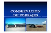CONSERVACION DE FORRAJES - uco.es · PDF fileVentajas del EnsilajeVentajas del Ensilaje Sd df db ldd lSe dispone de forraje de buena calidad en la época de escasez, manteniéndose