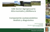 EAE Sector Agropecuario Alta montaña y Altillanura ... · PDF filePreguntas orientadoras ¿Cuáles son los factores de política, económica y social que determinan el comportamiento