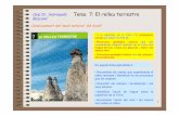 Tema 7 El relleu terrestre - xtec. · PDF filel’aigua de rius i mars, les glaceres , l’aire i els éssers vius. • Processos geològics interns com els volcans i ... Colada Bomba