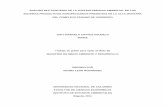 ANÁLISIS MULTICRITERIO DE LA SUSTENTABILIDAD · PDF file1 tÍtulo en espaÑol: anÁlisis multicriterio de la sustentabilidad ambiental de los sistemas productivos agropecuarios presentes
