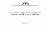 LA SALUD HUMANA Y LOS CEM-FEB 2005-04 · PDF fileasociaciÓn toxicolÓgica argentina la salud humana y los campos electromagnÉticos de frecuencia extremadamente baja (cem-feb) revisión
