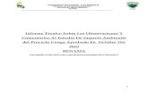 Informe Técnico Sobre Las Observaciones Y Comentarios · PDF fileANEXO 4: Informe Ministerio del Ambiente N° 001-2011- MINAM ... plata mediante métodos de procesamiento convencional
