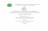 ANALISIS COSTO-EFECTIVIDAD DE LOS FÁRMACOS ... · PDF fileantihipertensivos en pacientes adultos atendidos por consulta externa del cap iii - metropolitano - essalud, 2011” ...