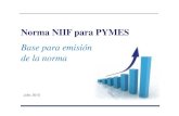 Norma NIIF para PYMES Base para emisión de la · PDF fileempresas que no cotizan en bolsas y se basará en las NIIF completas ... los propietarios que son administradores para ayudarle
