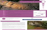 ES · PDF fileDE ASTURIAS A-8 Arriondas N-625 N-625 Arriondas Cangas de Onís CUEVA DE EL BUXU Benia de Onís AS-114 CARDES Acceso a la cueva [C.G.C. y S.R.G.] La cueva