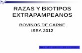 RAZAS Y BIOTIPOS EXTRAPAMPEANOS - ISEAcursosagropecuarios.org.ar/Alumnos/.../razas-y-biotipos.pdf · BOVINOS DE CARNE ISEA 2012 MED. VET. JORGE L. DE LA ORDEN RAZAS Y BIOTIPOS EXTRAPAMPEANOS