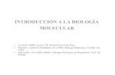 INTRODUCCIÓN A LA BIOLOGÍA MOLECULAR - Iniciosgpwe.izt.uam.mx/files/users/uami/pacopp/1-INTRODUCCION.pdf · INTRODUCCIÓN A LA BIOLOGÍA MOLECULAR • Lewin B. (2000). Genes, VII.