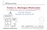 Tema 1. Biología Molecular - dpbiologia.weebly.comdpbiologia.weebly.com/uploads/2/1/5/5/21553524/gtp_t1._biología... · La aproximación de la biología molecular es reduccionista,