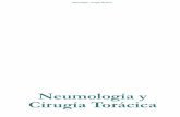 Neumología y Cirugía Torácica · PDF fileDivisión de la vía aérea. ... den de la aorta y de las intercostales e irrigan la tráquea inferior y los bronquios hasta los bronquiolos