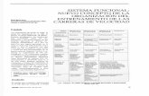 Preámbulo -  · PDF filedominantes anatomía y fisiología neurofisiologia motriz Ejemplos de Métodos de Entrenamiento Táctica prácticas enseñanza fraccionado.