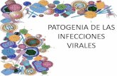 PATOGENIA DE LAS INFECCIONES VIRALES - Microred · PDF fileTransmisión de las enfermedades virales Hospedador: Ser vivo susceptible a la infección, replicación y patogenicidad del