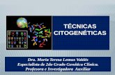 Presentación de PowerPoint - uvsfajardo.sld.cuuvsfajardo.sld.cu/.../files/aberraciones_cromosomicas_tecnicas...0.pdf · •Detectar aberraciones cromosómicas (microdeleciones y