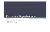 Estructura Organizacional - Abel  · PDF fileEstructura Organizacional Abel Hibert Universidad Metropolitana de Monterrey Enero-Abril 2009