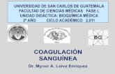 COAGULACIÓN SANGUÍNEA - Bioquímica fundamental · PDF fileCOAGULACION. Fuente: Bioquímica Médica, 2ª. Ed. Baynes, Dominiczak . ... XIII Factor estabilizador de la fibrina (FSF)