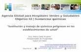Agenda Global para Hospitales Verdes y Saludables …hospitalesporlasaludambiental.net/wp-content/uploads/2014/05/María... · residuos que generan. Son contaminantes ambientales