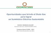 Oportunidades que brinda el Shale Gas para lograr un ... · PDF file–Conservación –Prioridad a ... requeridos para el suministro eléctrico: ... En USA el Shale Gas incrementó