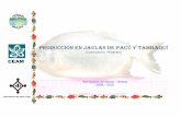Producción en jaulas de Pacú y Tambaquí - ceam-ong. · PDF file7 . Manual I para la producción de Pacú y Tambaquí en Jaulas flotantes • En el caso de las lagunas será un sitio