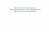 Procedimientos del Sistema de Gestión de la Prevención · PDF fileÍndice 1. Evaluación de riesgos