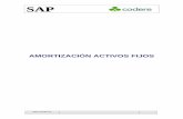 SAP -   · PDF fileSAP AMORTIZACIÓN ... Nombre de Archivo: 08. Amortización de Activos Fijos Último cambio por: Equipo FI 1 de 24 . SAP ... camino en el menú de usuario: