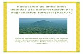 1 Reducción de emisiones debidas a la deforestación y la ...naturaljustice.org/wp-content/uploads/2015/09/REDD_Spanish.pdf · Niveles de referencia…………………………………