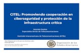 CITEL: Promoviendo cooperaciónen ciberseguridad y ... · PDF file• Reducir las vulnerabilidades de protocolos y su mejor diseño • Optimizar las redes, su gestión y mantenimiento