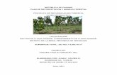 REPÚBLICA DE PANAMÁ PLAN DE REFORESTACION Y … de Manejo... · repÚblica de panamÁ . plan de reforestacion y manejo forestal . proyecto de reforestaciÓn forestal . llano grande