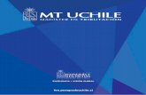 MT  · PDF filela Universidad de Chile ofrece además un entorno donde se promueve el ... (Finanzas, Marketing, Gestión de Personas, Contabilidad, Control de Gestión,