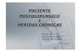 PACIENTE POSTQUIRÚRGICO Y HERIDAS CRÓNICASextranet.hospitalcruces.com/doc/adjuntos/presentacion TALLER 2012.pdf · heridas quirÚrgicas fÍstulas/abscesos intraabdominales 2. drenajes