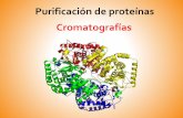Purificación de proteínas - Bqexperimental's Blog · PDF fileMatriz. Sustancia con la que se empaqueta la columna. También se denomina fase estacionaria o lecho de la columna. Fase