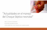 “Actualidades en el manejo del choque Séptico neonatal”neonatologosyucatan.org.mx/admin/uploads/page_blog_posts/choque... · En recién nacidos puede ser transición de la circulación