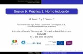 Sesion 9. Práctica 3. Horno inducción - · PDF fileDescripción del problema multifísico Análisis del modelo Sesion 9. Práctica 3. Horno inducción M. Meis1;2 y F. Varas1;3 1Universidad