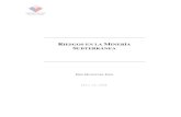 Riesgos en la Minerìa Subterrànea - biblioteca.iplacex.clbiblioteca.iplacex.cl/RCA/Riesgos en la minería subterránea.pdf · 4.4 Riesgos asociados al método Hundimiento por Bloques