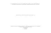 DIAGNÓSTICO DE LAS SUBESTACIONES CON …repositorio.uptc.edu.co/bitstream/001/1716/1/TGT-400.pdf · 2 Normas Técnicas: Disposiciones ... Disponible en: (. 3 Estaciones y subestaciones
