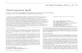 Nefropatía IgA - rmu.org.uy · PDF fileNefropatía IgA mente, en la IF, depósitos de IgG, IgM, C3, componentes de lavía alternativadel complemento (properdina) y com- ponentes