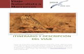Viaje Naturalista a Marruecos -  · PDF file18. Calonectris diomedea borealis Pardela cenicienta 19. Puffinus puffinus Pardela pichoneta 20. Morus bassanus Alcatraz atlántico 21