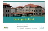 Neutropenia FebrilNeutropenia Febril - seom.org · PDF fileEstratificación del riesgo en pacientesEstratificación del riesgo en pacientes con neutropenia febril Estima la probabilidad