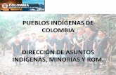PUEBLOS INDÍGENAS DE COLOMBIA DIRECCIÓN DE · PDF fileDEFINICIONES: RESGUARDO: Es una institución legal y sociopolítica de carácter especial, conformada por una comunidad o parcialidad
